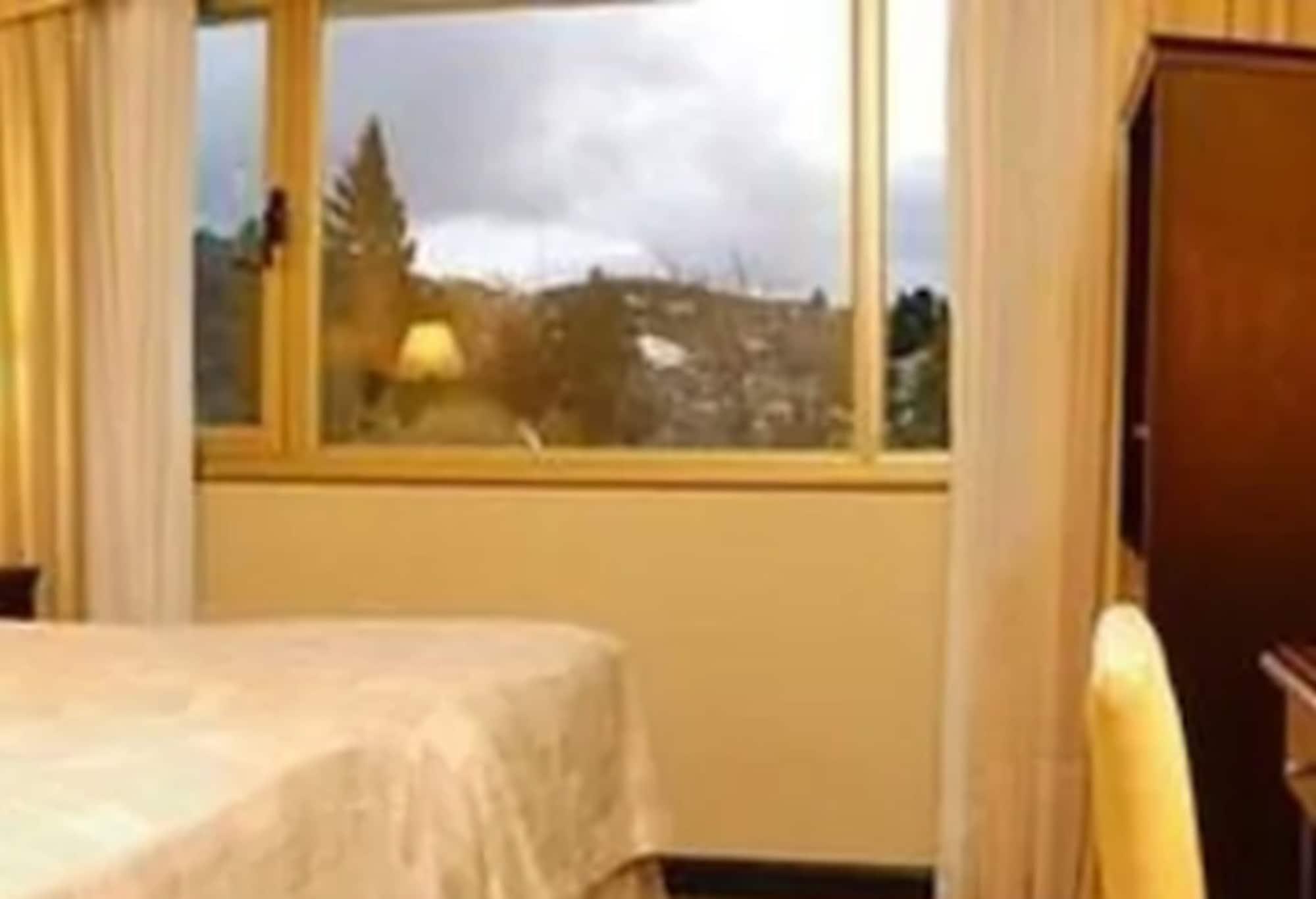 Kenton Palace Hotel